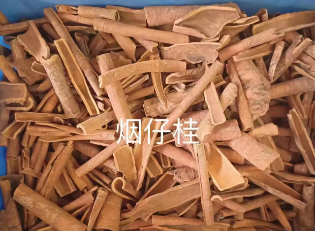 煙仔桂